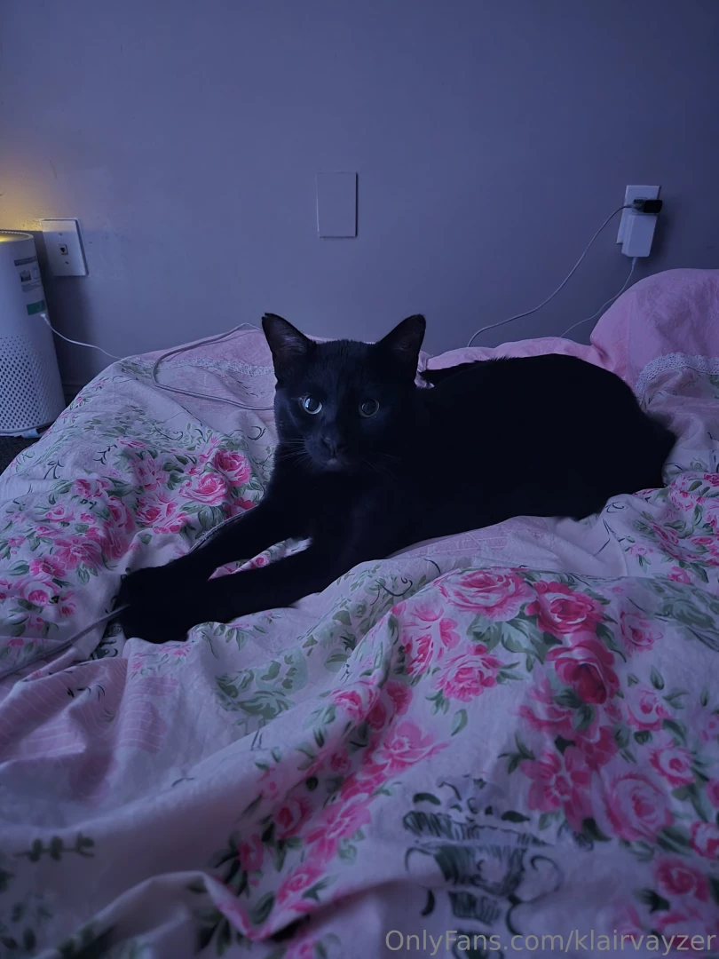 My pussy and i say goodnight it s been another great day of eating 