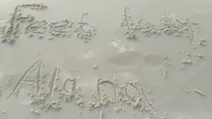 Friend sent a fine reason to get to know each other from another