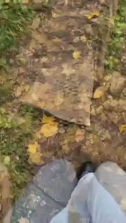 Dirty smell sweaty walk what would you do with my socks and shoes 