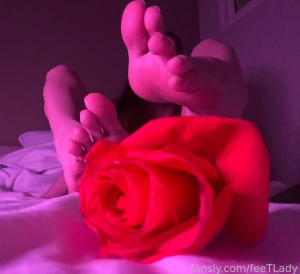 I ll take your part 5