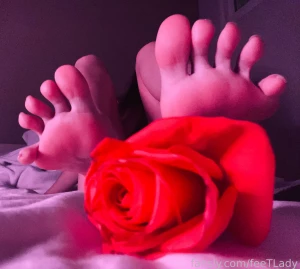 I ll take your part 8