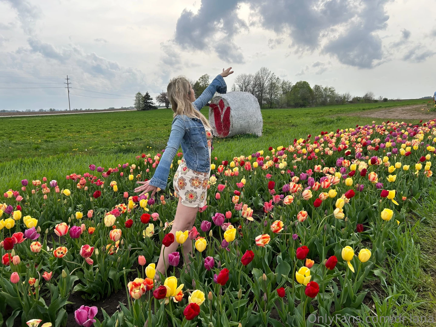 Always reaching for the stars 