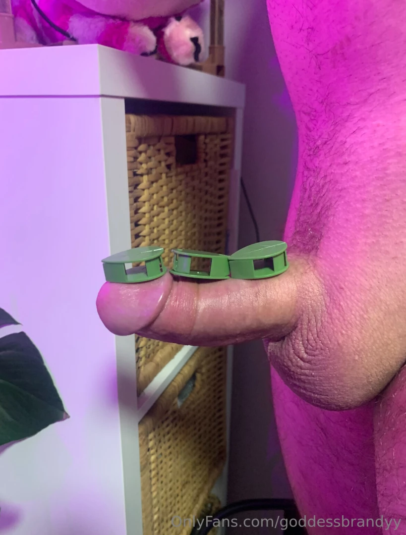 My ex was hanging some plants on the wall for me using these vine 