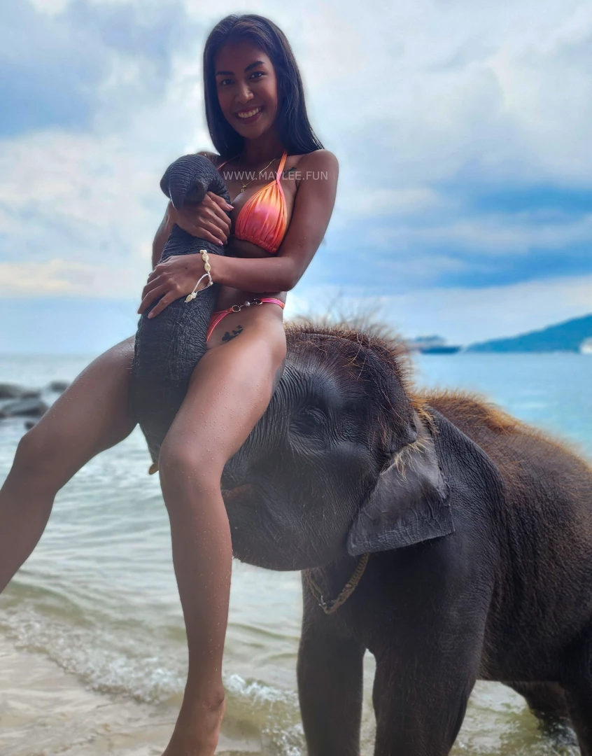 Ready for an elephant ride 