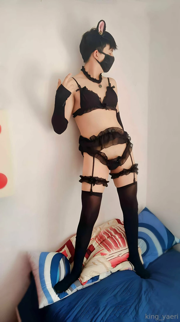 Una muestra del set de gatito uwu part 1 