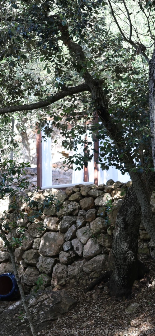 I wonder what s up these stairs 