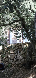 I wonder what s up these stairs