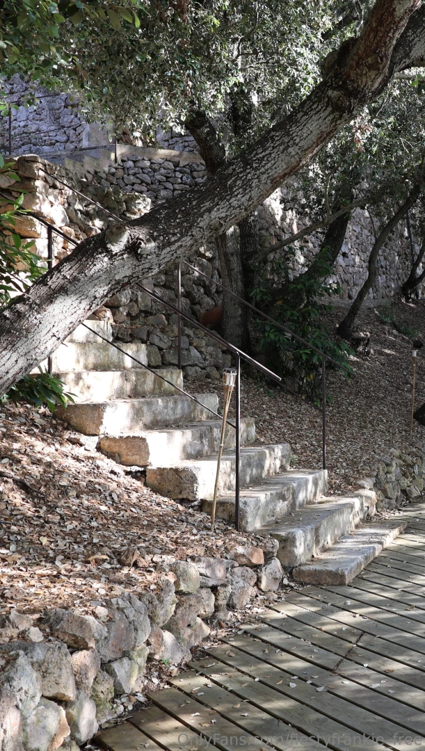 I wonder what s up these stairs part 1 