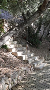 I wonder what s up these stairs part 1