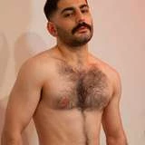 zaynhawk1