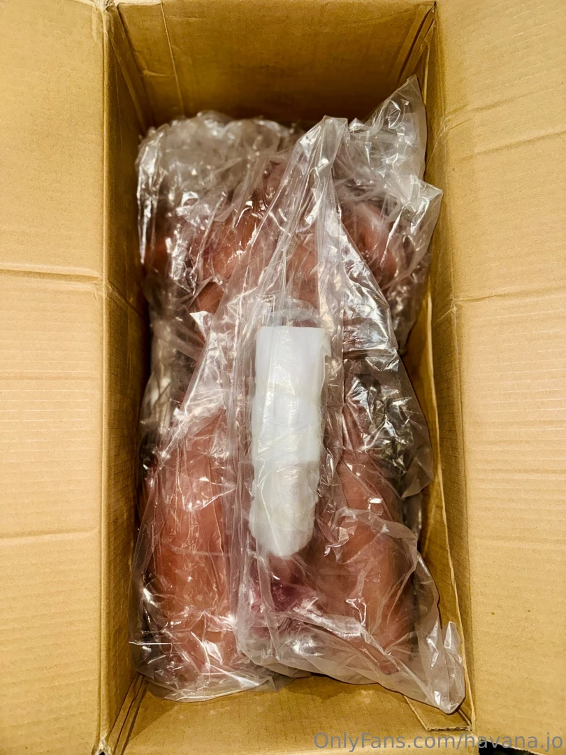 A fan got me this toy 