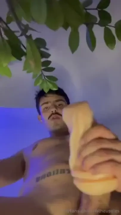 Matheusales part 32 