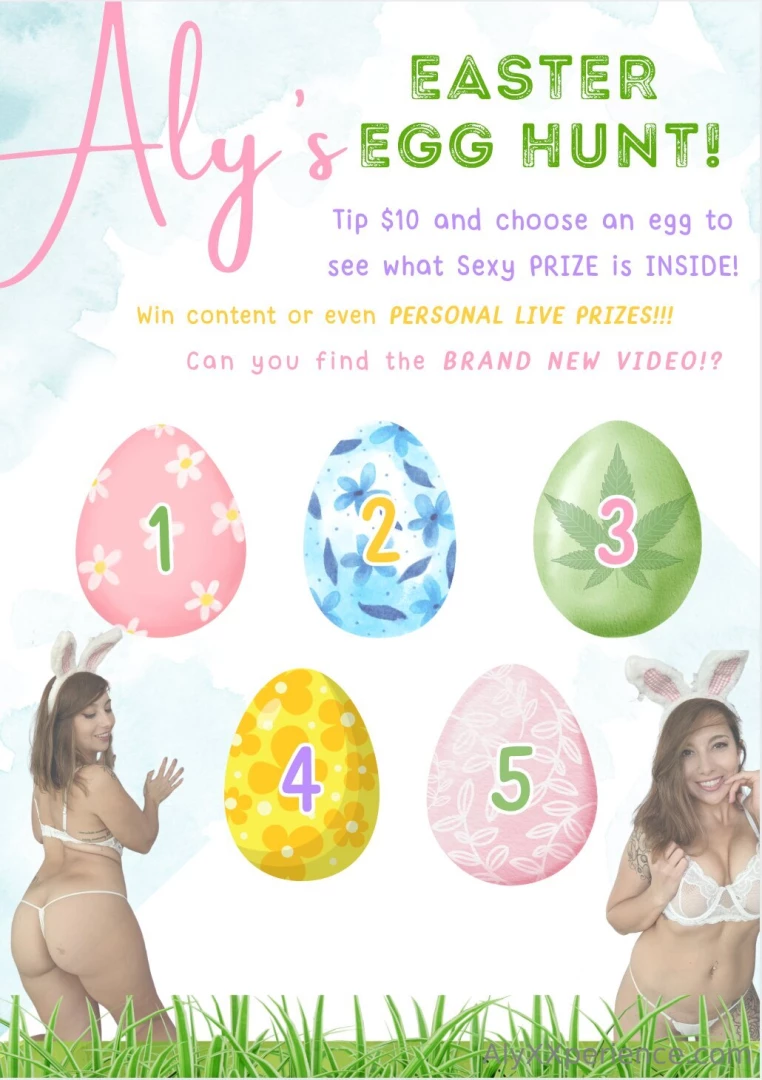 Aly s egg hunt i have hidden some prizes for you in each of these eggs 