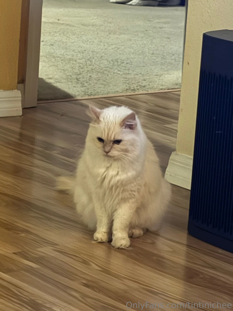 It s been a while part 40 