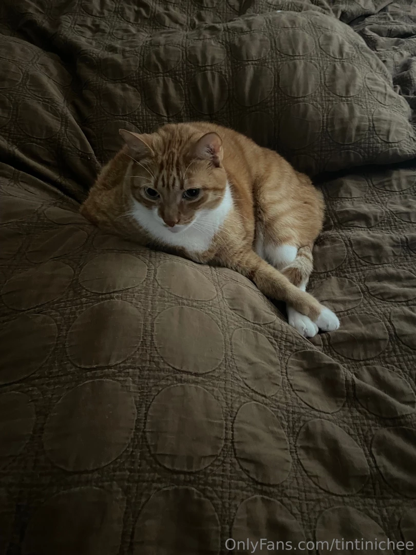 Life has been a lil wild lately but i should get settled soon 