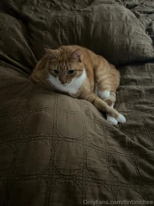 Life has been a lil wild lately but i should get settled soon