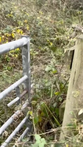 Got caught trespassing on nbsp farmersam2021 s farm again i think i