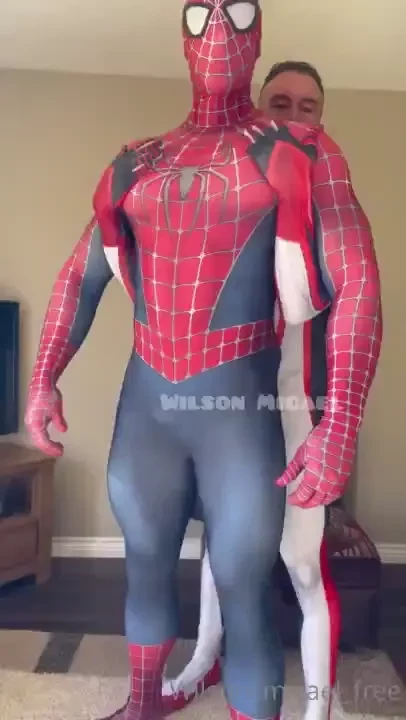 Spiderman multiverse 
