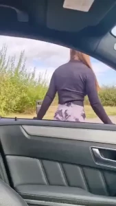 Would i be able to get a ride off you you would get a great view of my