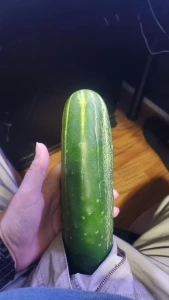 The garden is doing really well this year