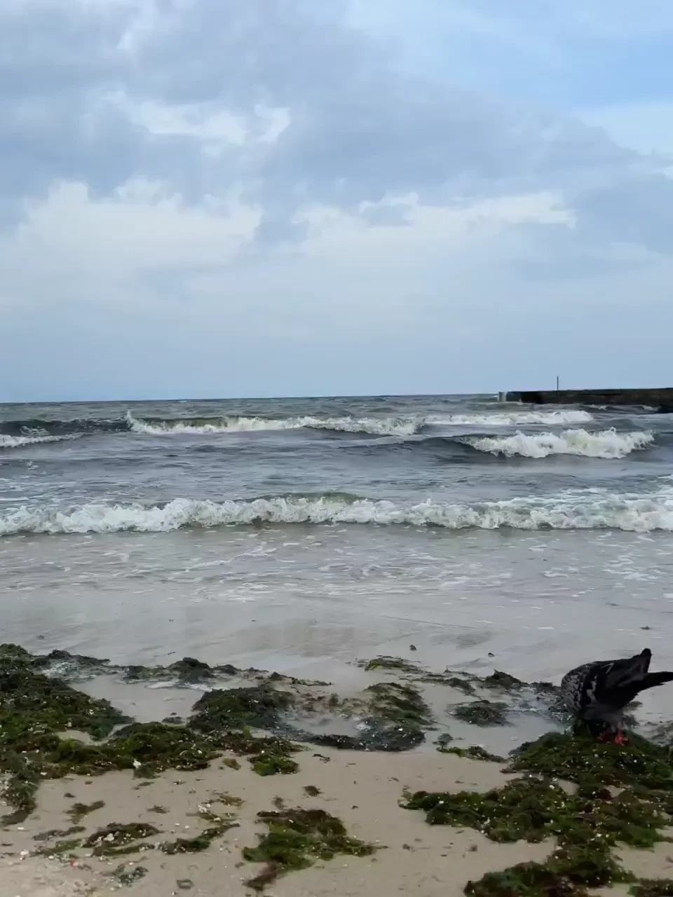 Do you want to take a walk with me by the sea part 2 