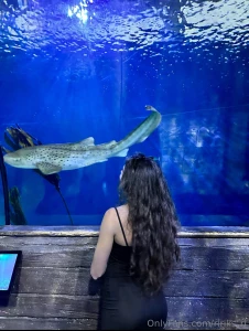 So today i decided to mix things up and check out an underwater world