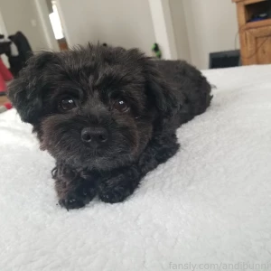 Hai guys i m sorry for such chaos in my posting i have been having a