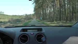 I was so horny driving thank god a hitchhiker was able to do something