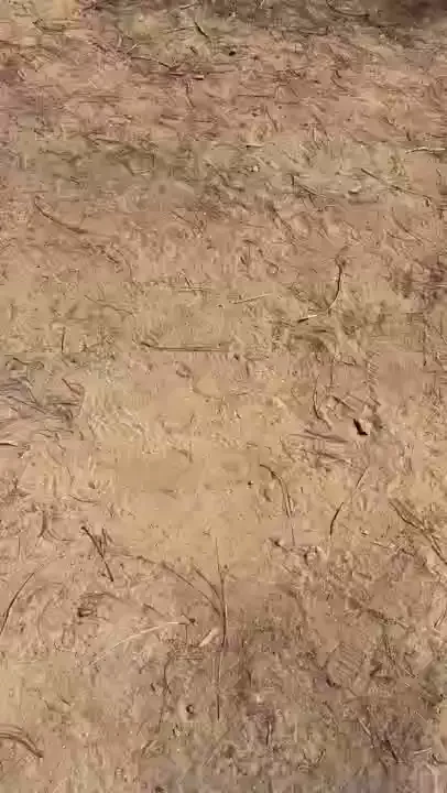 5 videos out outdoor play hehe oh man banned on sc again haha but hey part 2 