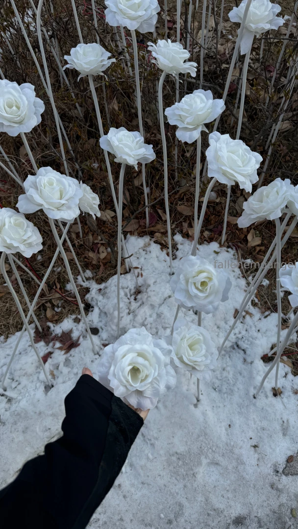 I returned from korea and i want to share with you a little bit how i part 7 