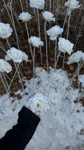 I returned from korea and i want to share with you a little bit how i part 7