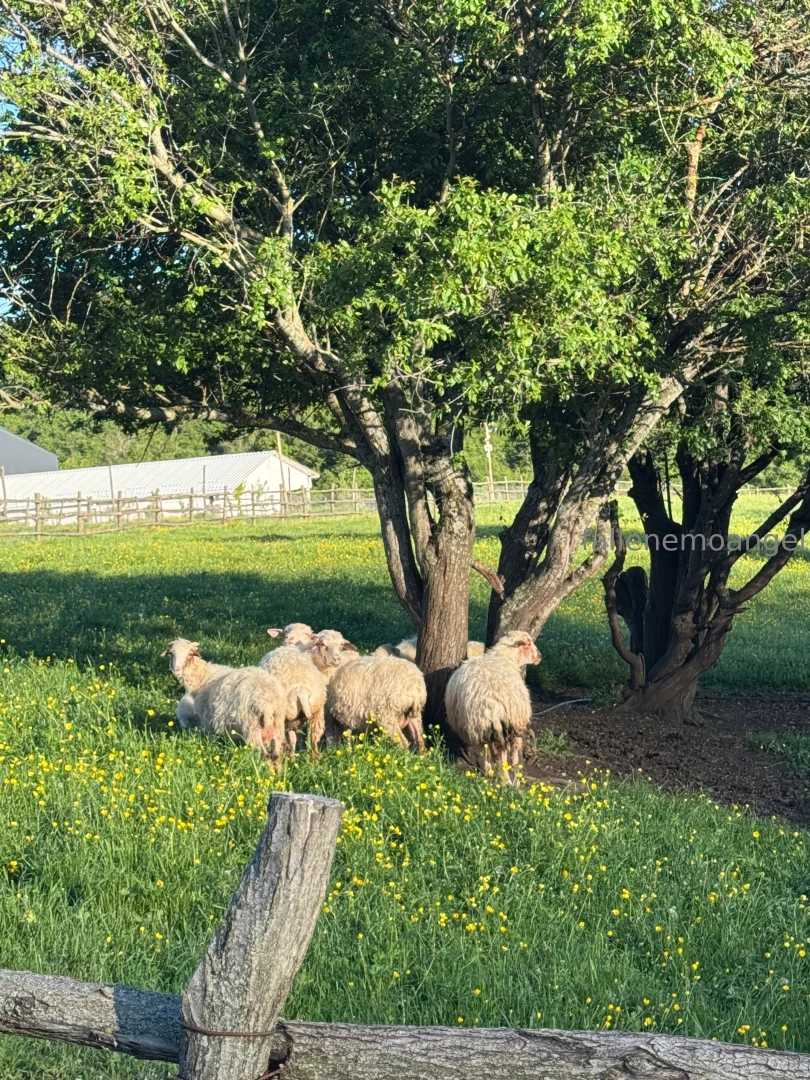 I had a wonderful birthday i am very pleased with your congratulations 