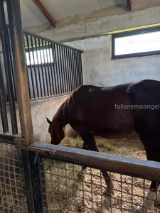 It was probably one of my happiest days i m incredibly happy i rode a