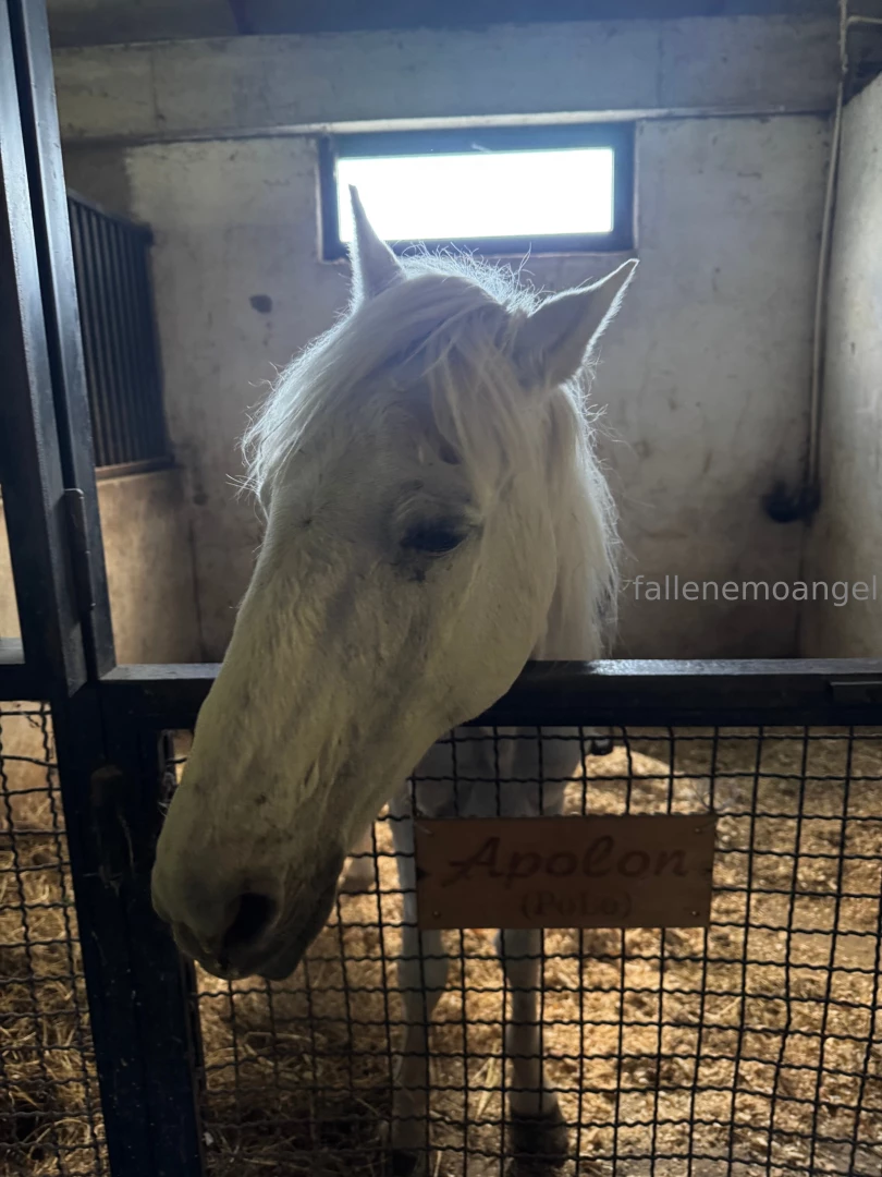 It was probably one of my happiest days i m incredibly happy i rode a part 1 