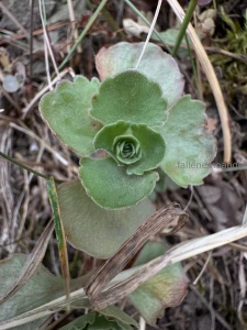 Recently wisp had an adventure day gt lt for the first time in her part 2