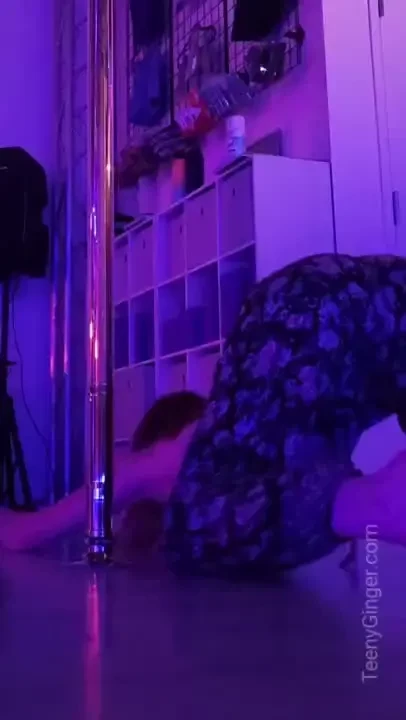 Song sunday toxic pony by alt go britney spears and ginuwine 