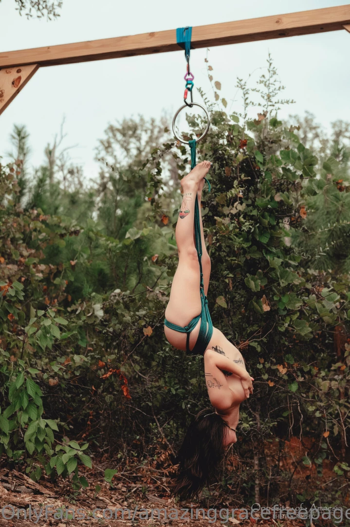 Aerial elegance in florida 