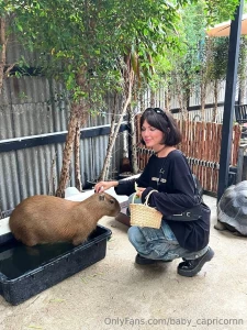 It s a unique experience these animals are so big and calm look at