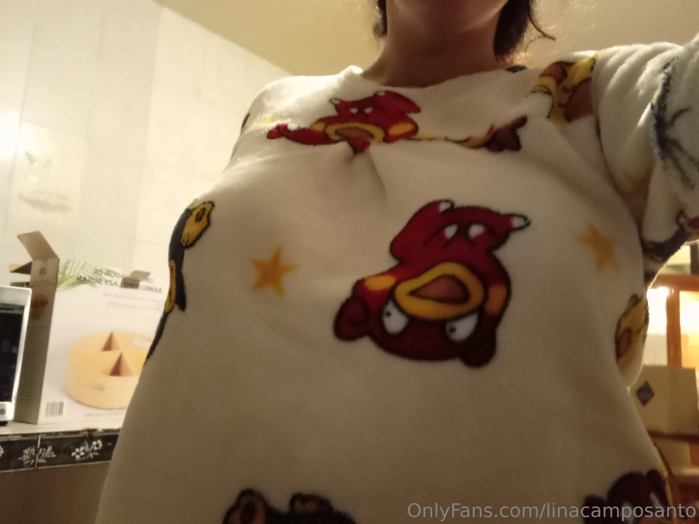 Buenos dias calabacitas aqui con mi pijamita de bootlegs de pok mon en 