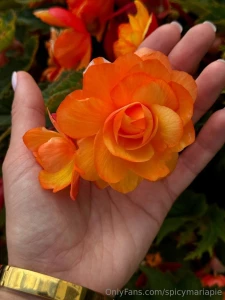 A short story of one weekend and how was your weekend part 2