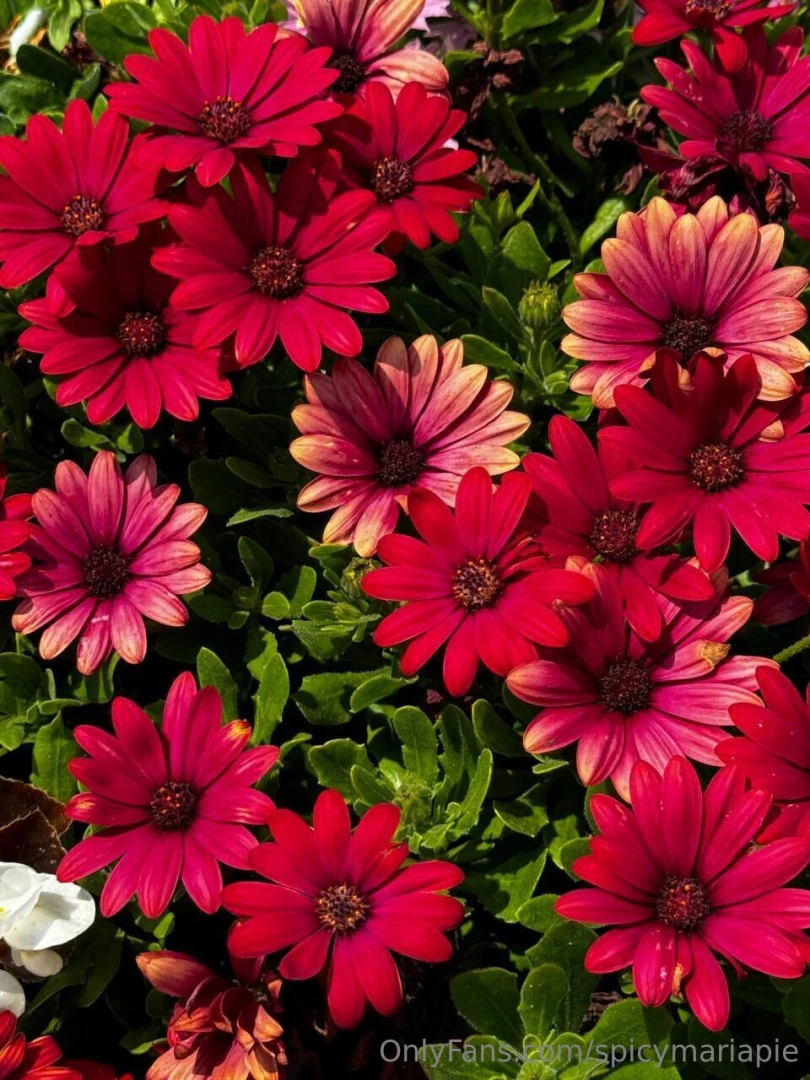 A short story of one weekend and how was your weekend part 1 