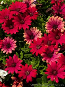 A short story of one weekend and how was your weekend part 1