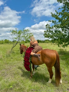 Sunlight roses and just enough trouble