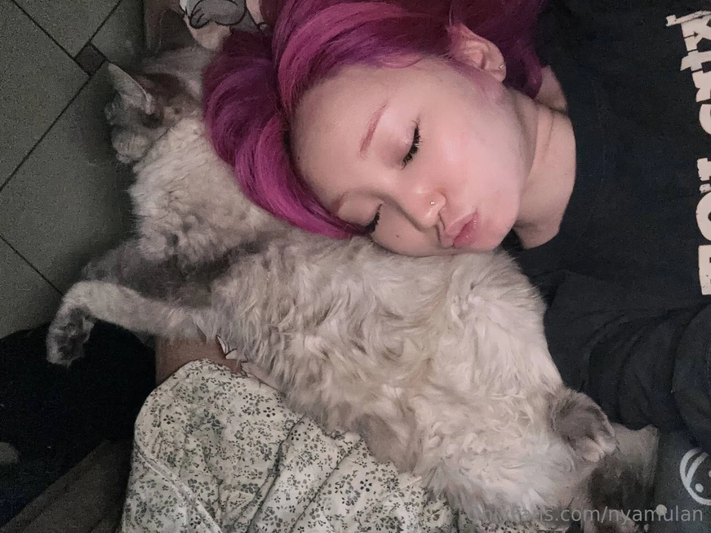 Sweet purr-purr dreams kittens 