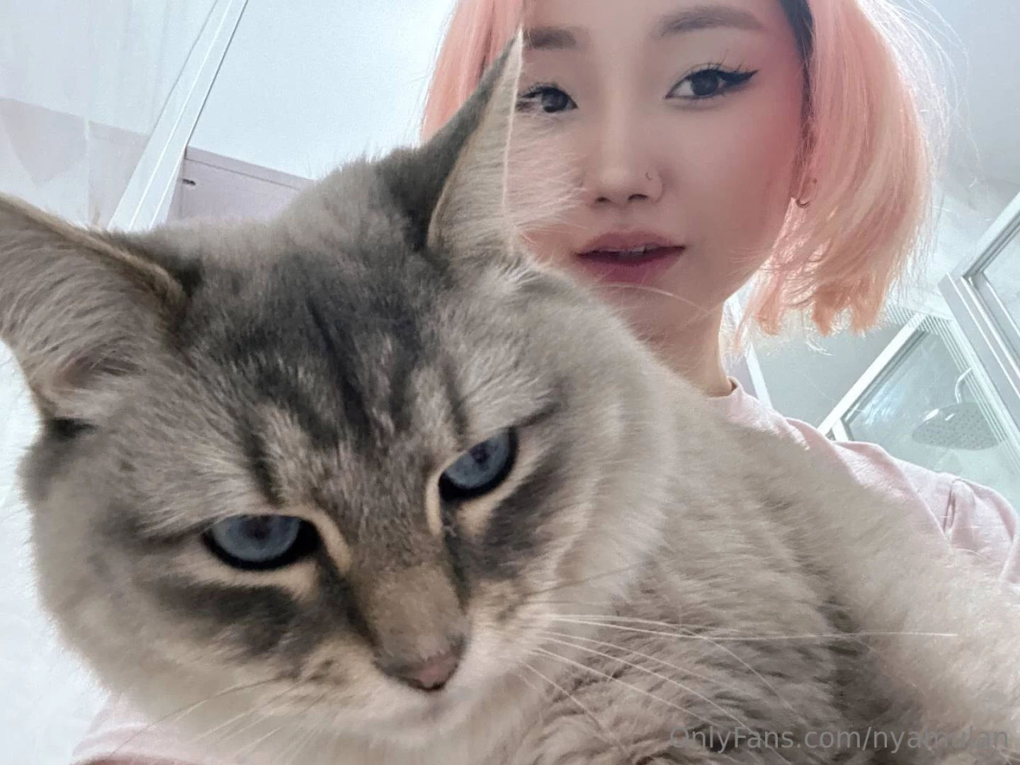 Lu as came to say hello 