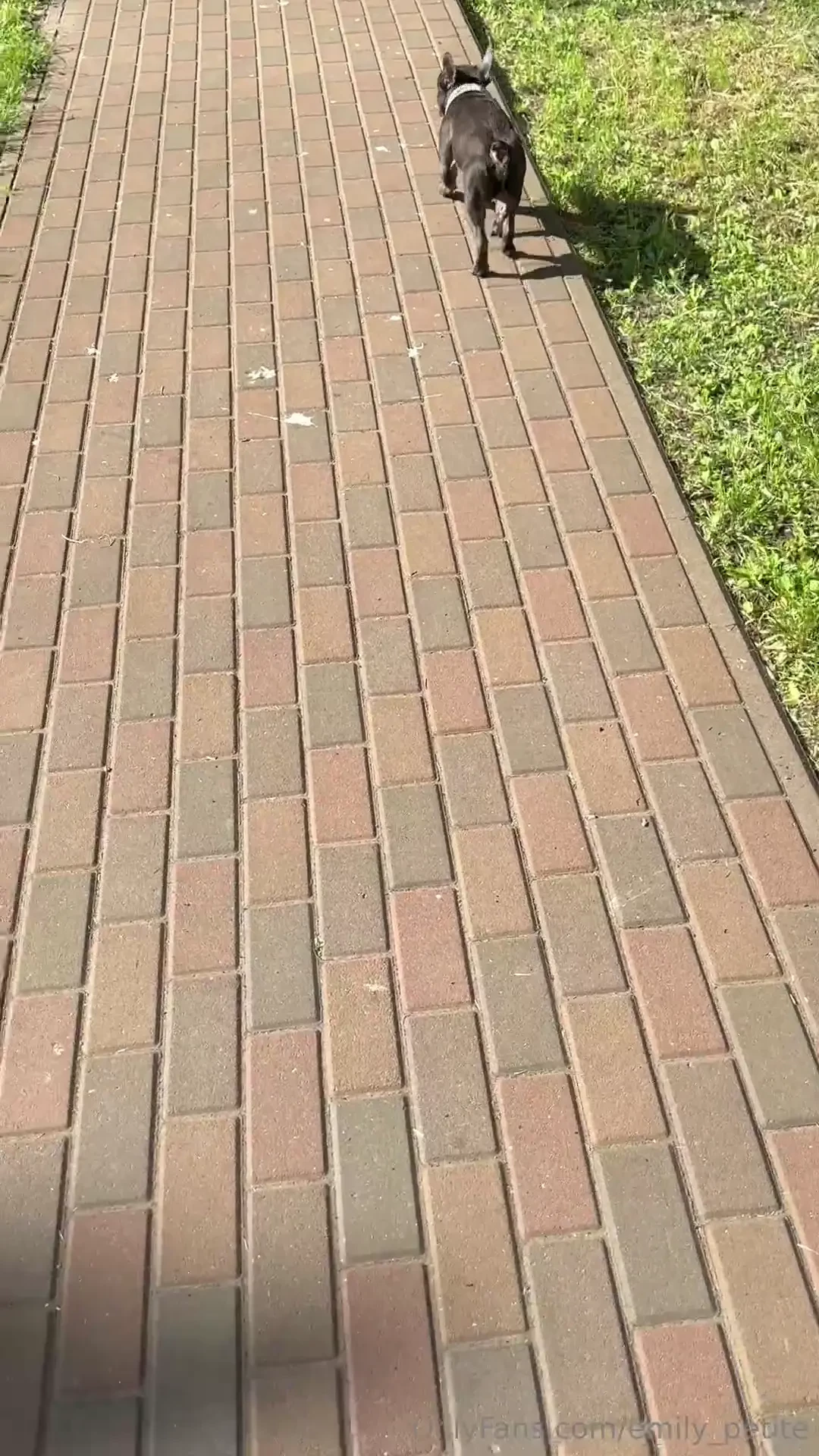 Thought i d show you part of our daily ritual 