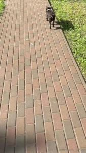 Thought i d show you part of our daily ritual