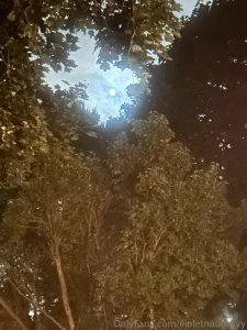 My love language is asking if you ve seen the moon tonight