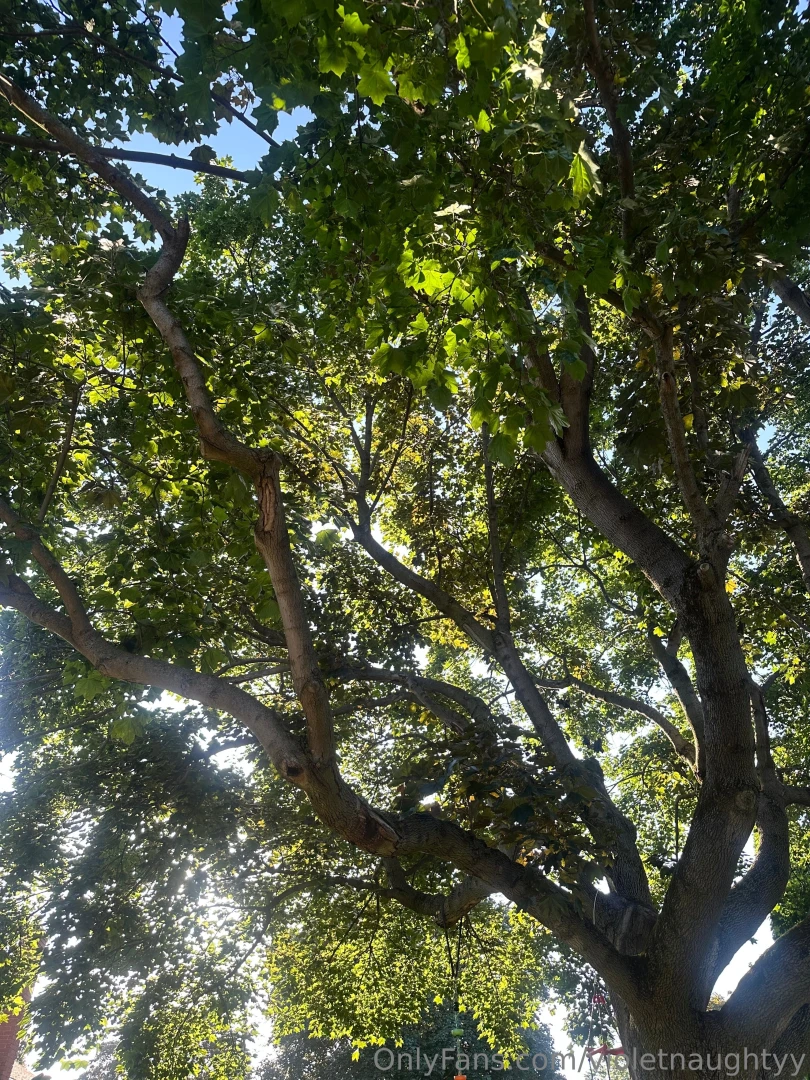 Good morning part 34089 