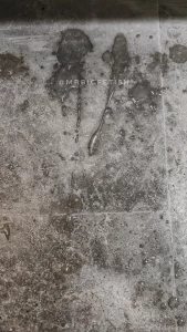 Cum i was asking on twitter what i need to do if i m horny at work so